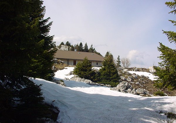 2005