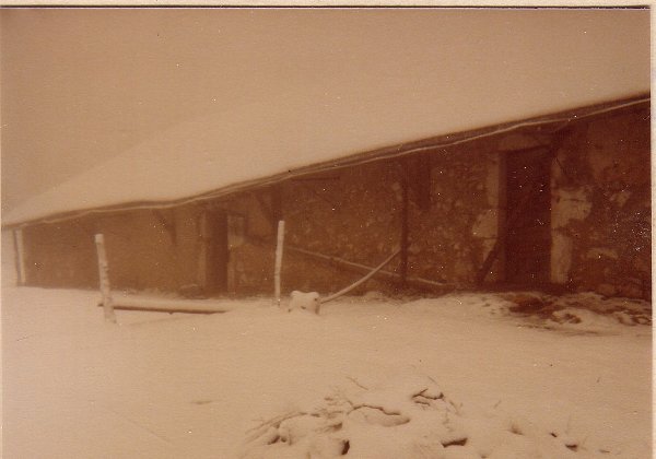 Gralet